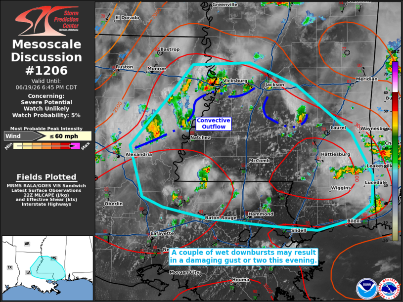 MD 1206 graphic