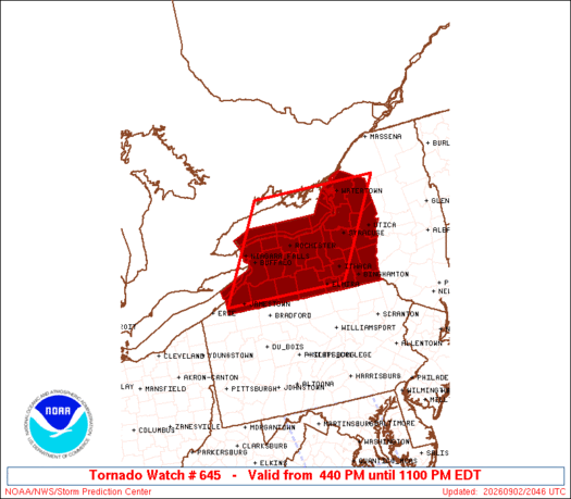 WW0645 SAW