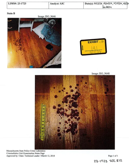 Close-up of bloodstains on the bedroom floor with analyst notes in the margins.