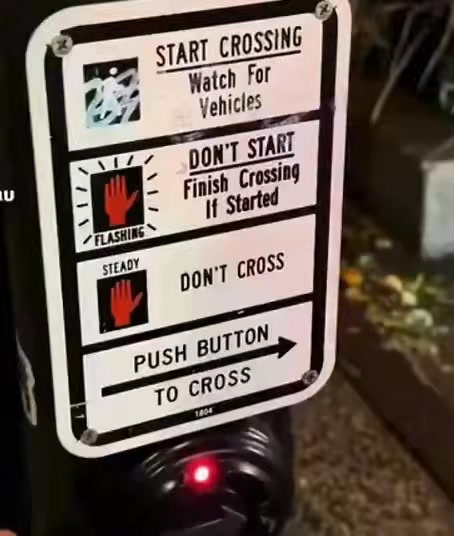 491711894 1015299290073443 695674201186106499 n.jpg