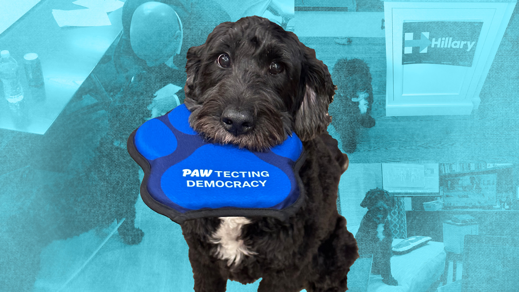 bode remembrance web.jpg