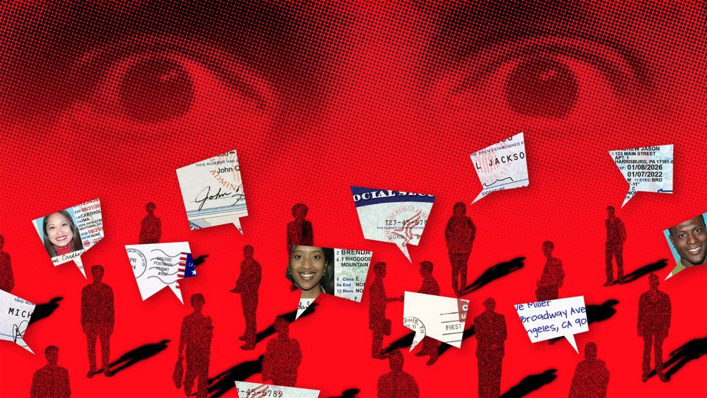 big brother voter.jpg