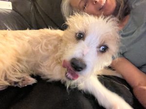 590437797 10164617712095961 5709102672256441070 n.jpg