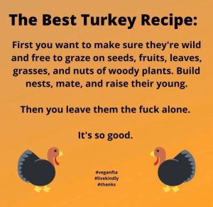 591495570 10224796790382188 7985859871623540566 n.jpg