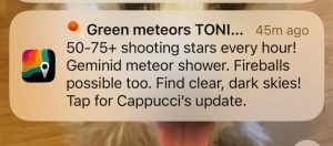 599763113 10164694731310961 6102462038189309036 n.jpg