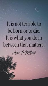 611657177 10164802676145961 7517844306632640656 n.jpg