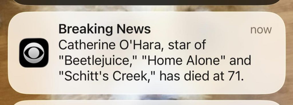 622369153 10164917927765961 8302937425924945029 n.jpg