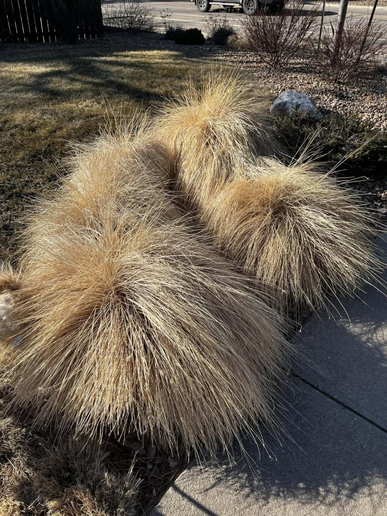 627240049 10164947885760961 1516114445202605847 n.jpg