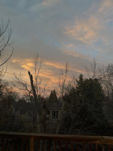 649099842 10165118045145961 9058024798817105242 n.jpg