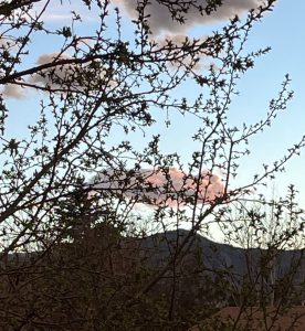 651152964 10165144163325961 206841312496908735 n.jpg