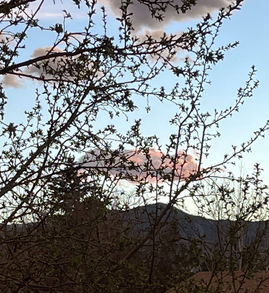 651152964 10165144163325961 206841312496908735 n.jpg