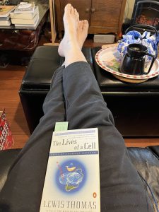 653072920 10165152462385961 7796679373902344075 n.jpg