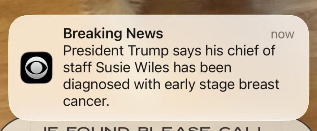 653130900 10165156502410961 4990721208953482737 n.jpg