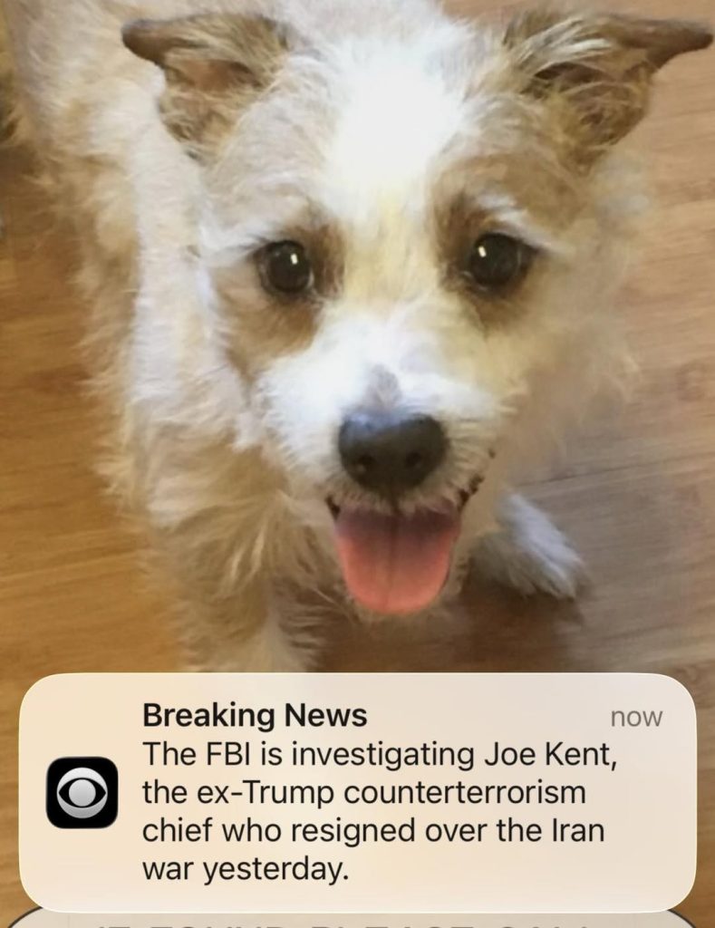 654287835 10165171039745961 5065918159680808887 n.jpg