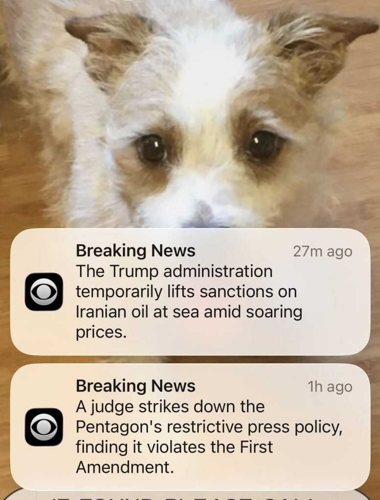 654740899 10165182884915961 7215726084191538967 n.jpg