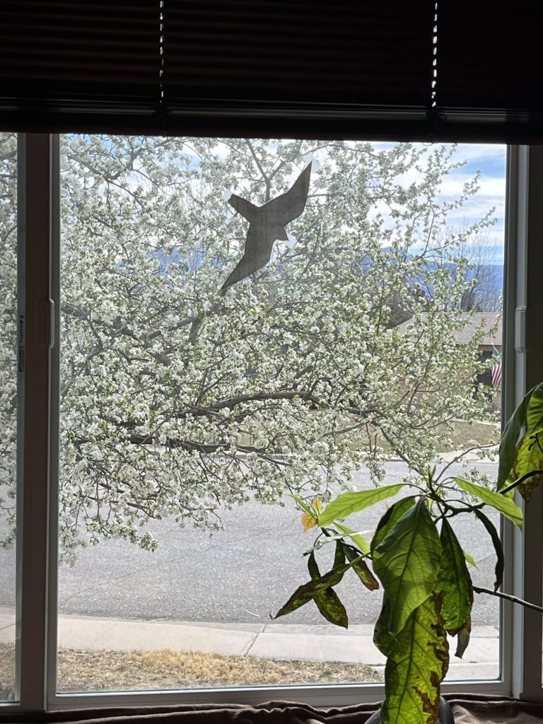 655441757 10165188580125961 7689592353587993265 n.jpg