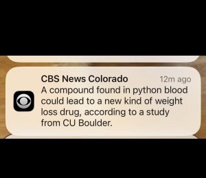 656596504 10165206483175961 7117426156362224766 n.jpg