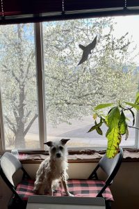 656696723 10165189194200961 2419083379658621378 n.jpg