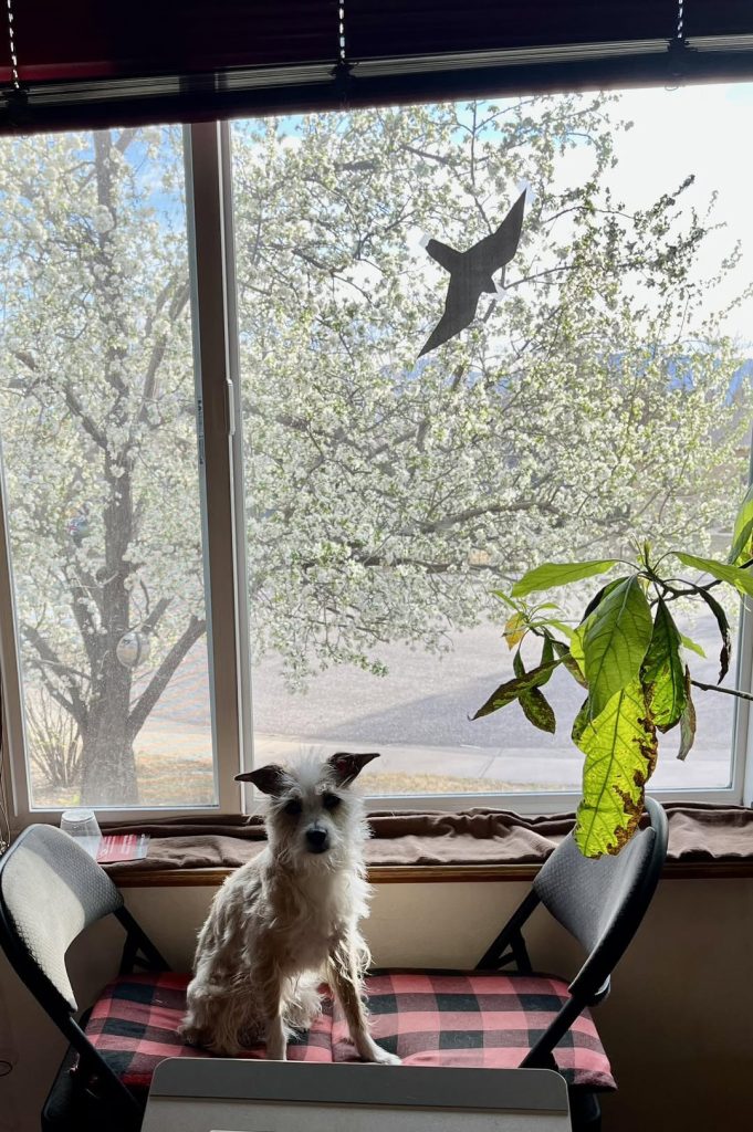 656696723 10165189194200961 2419083379658621378 n.jpg