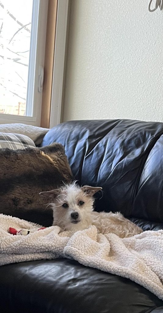 656942660 10165213745400961 1200577458287537061 n.jpg