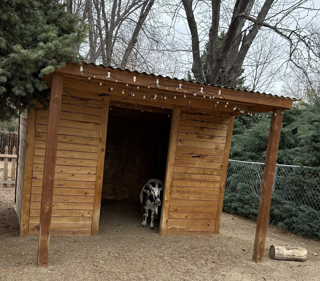 657455396 10165224600325961 7385689001385802785 n.jpg