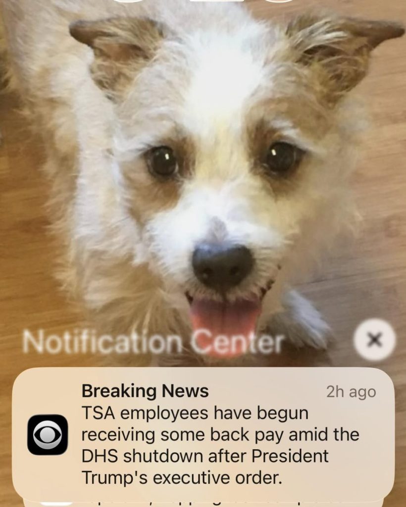 657921548 10165234477745961 113770751319171813 n.jpg