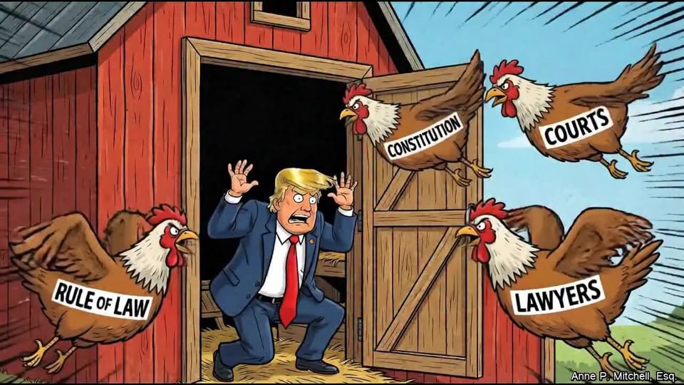 660871161 1975910296355559 5449086859683381647 n.jpg