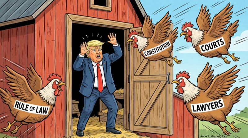 661600325 10165239944610961 8693044080059375940 n.jpg