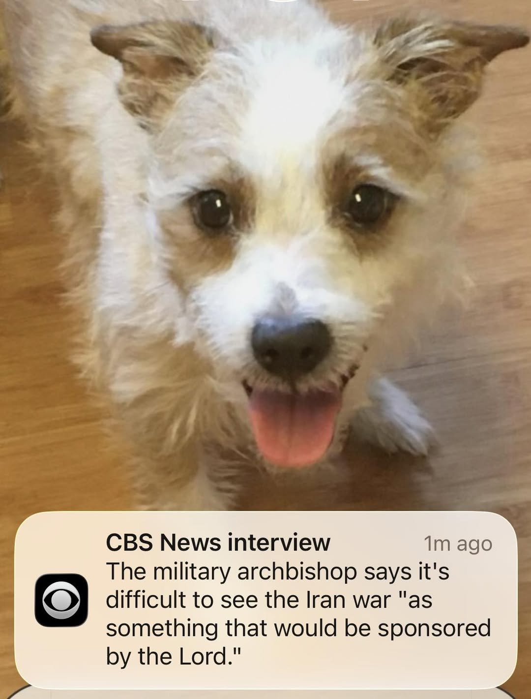 663048986 10165252533785961 8208647493727978956 n.jpg