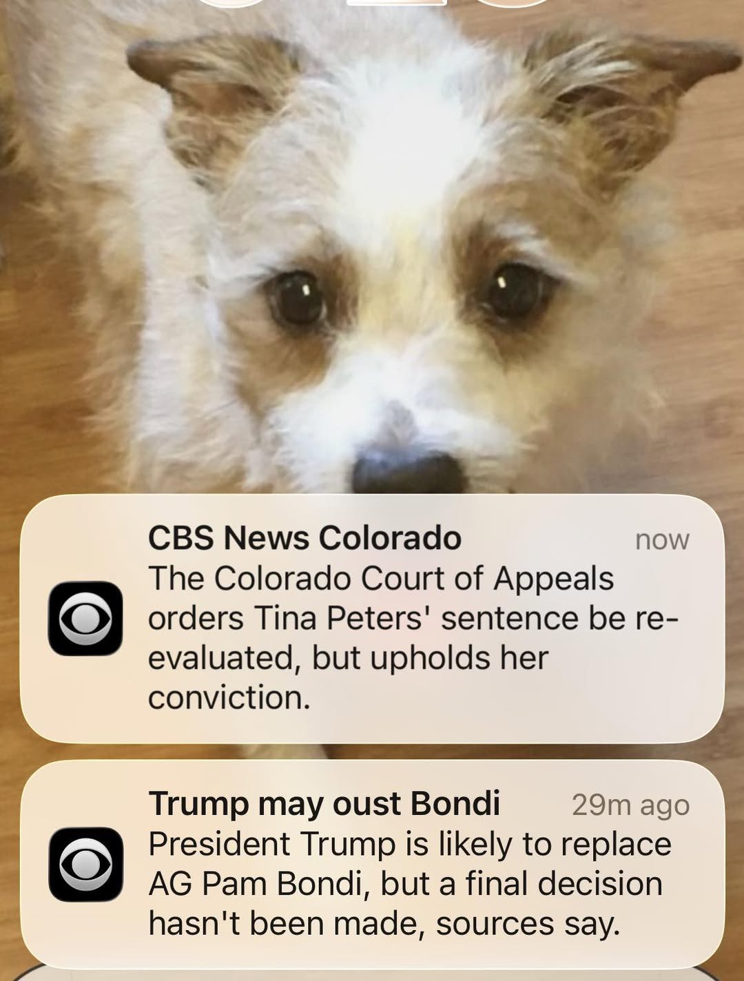 663240462 10165247271475961 5782603093956508352 n.jpg