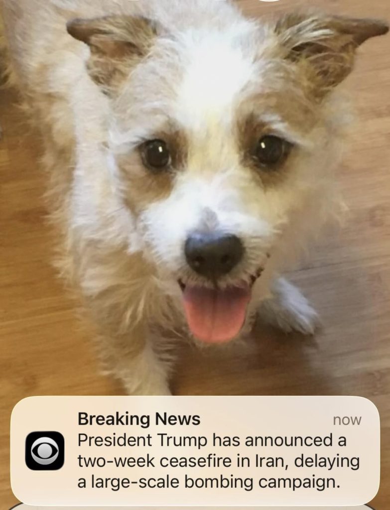 667416763 10165272826420961 1055464694248812201 n.jpg