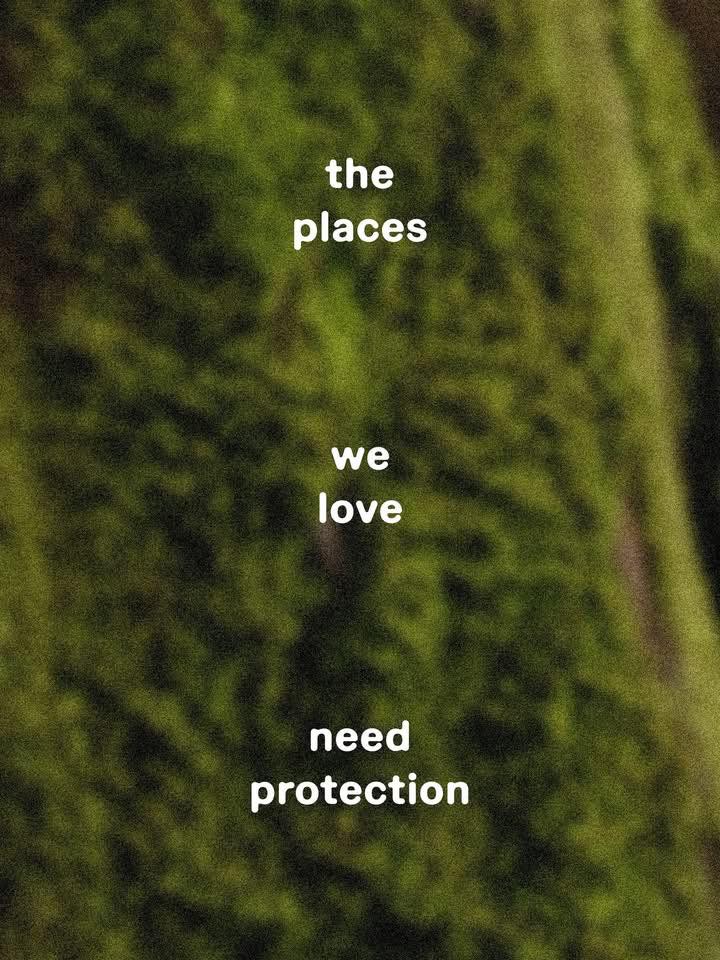 Environmental protection message over green forest canopy
