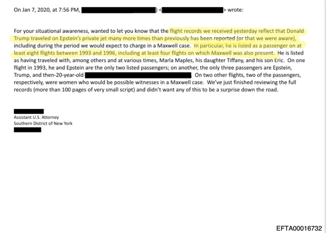 Legal document discussing Epstein flight records and passengers