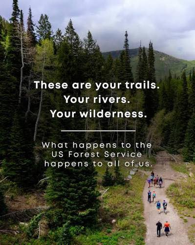 Forest conservation message with hikers on mountain trail