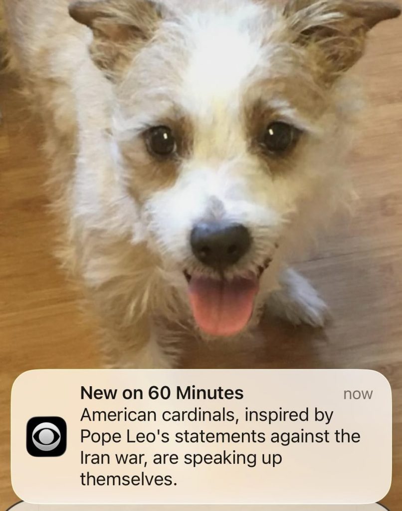 Happy fluffy dog with tongue out above news notification