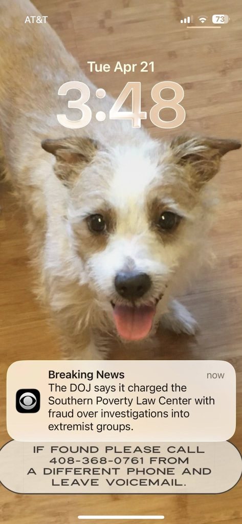 Phone lock screen showing small fluffy dog face