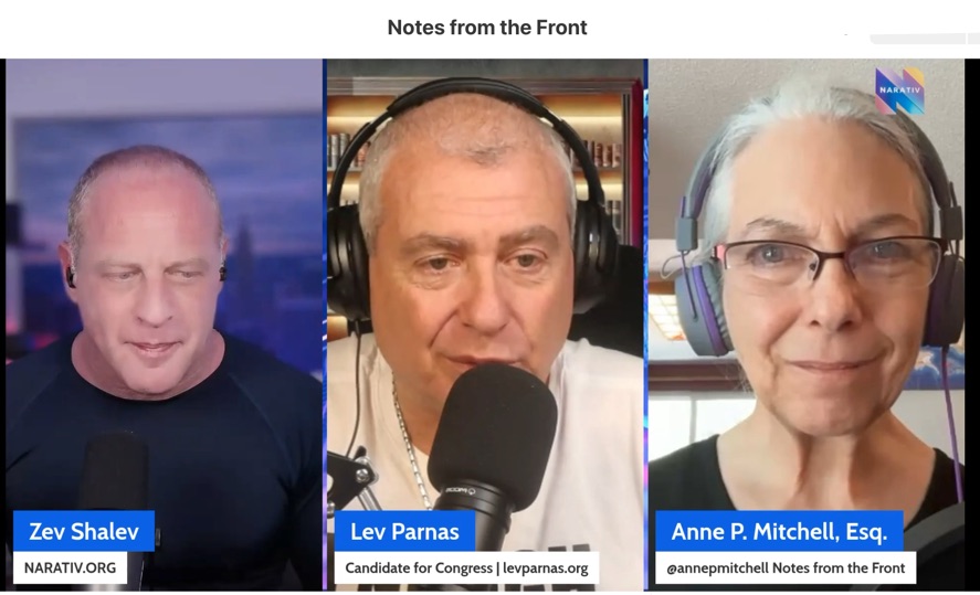 Three people in video call discussing politics