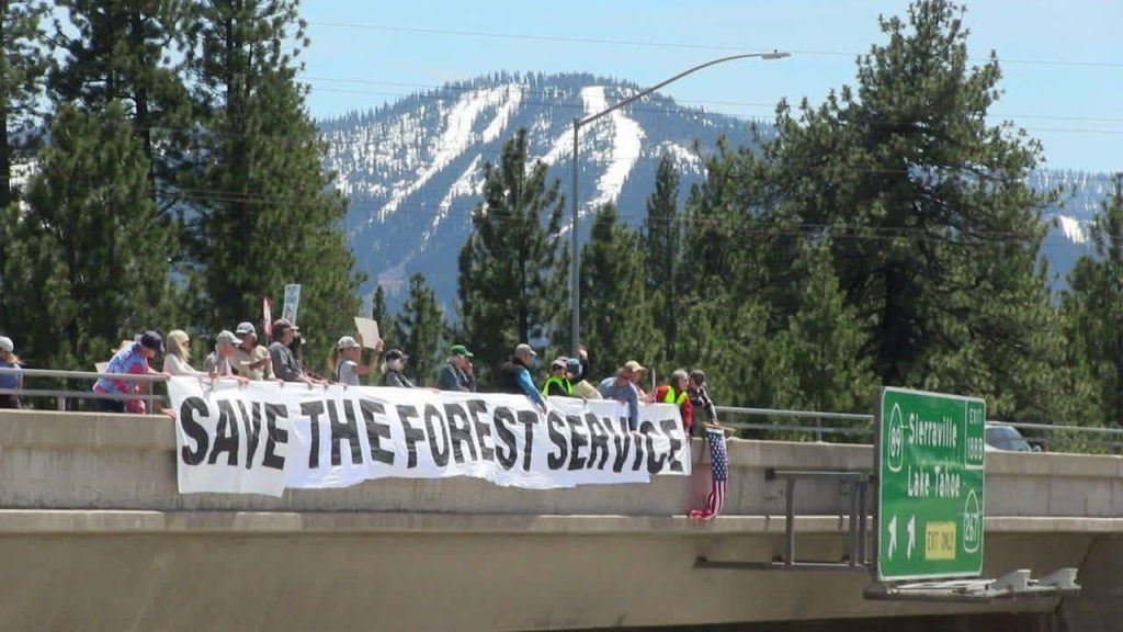 Protesters with Save The Forest Service banner on bridge