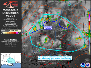 MD 1206 graphic