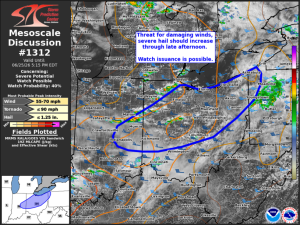 MD 1312 graphic