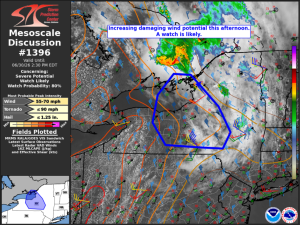MD 1396 graphic