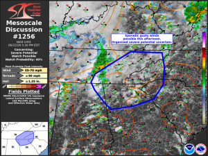MD 1256 Image