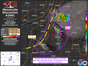 MD 2061 graphic